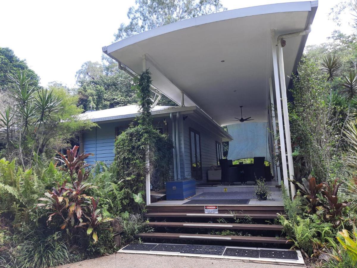 Daintree Rainforest Accommodation Cow Bay Exterior photo
