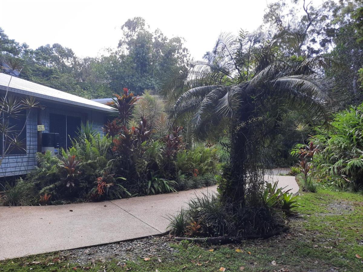 Daintree Rainforest Accommodation Cow Bay Exterior photo